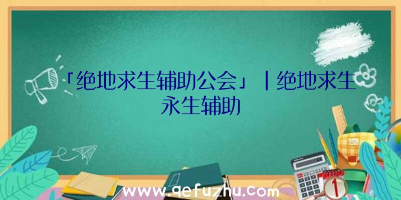 「绝地求生辅助公会」|绝地求生永生辅助